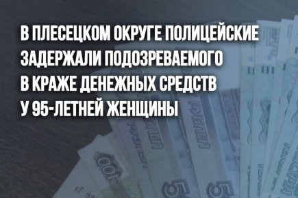 В обратилась жительница Плесецкого округа
