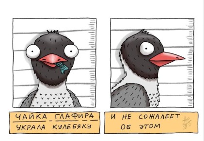 Птичку жалко! Подкармливаете голубей или чаек около дома? Это может грозить штрафом до 3000 рублей!