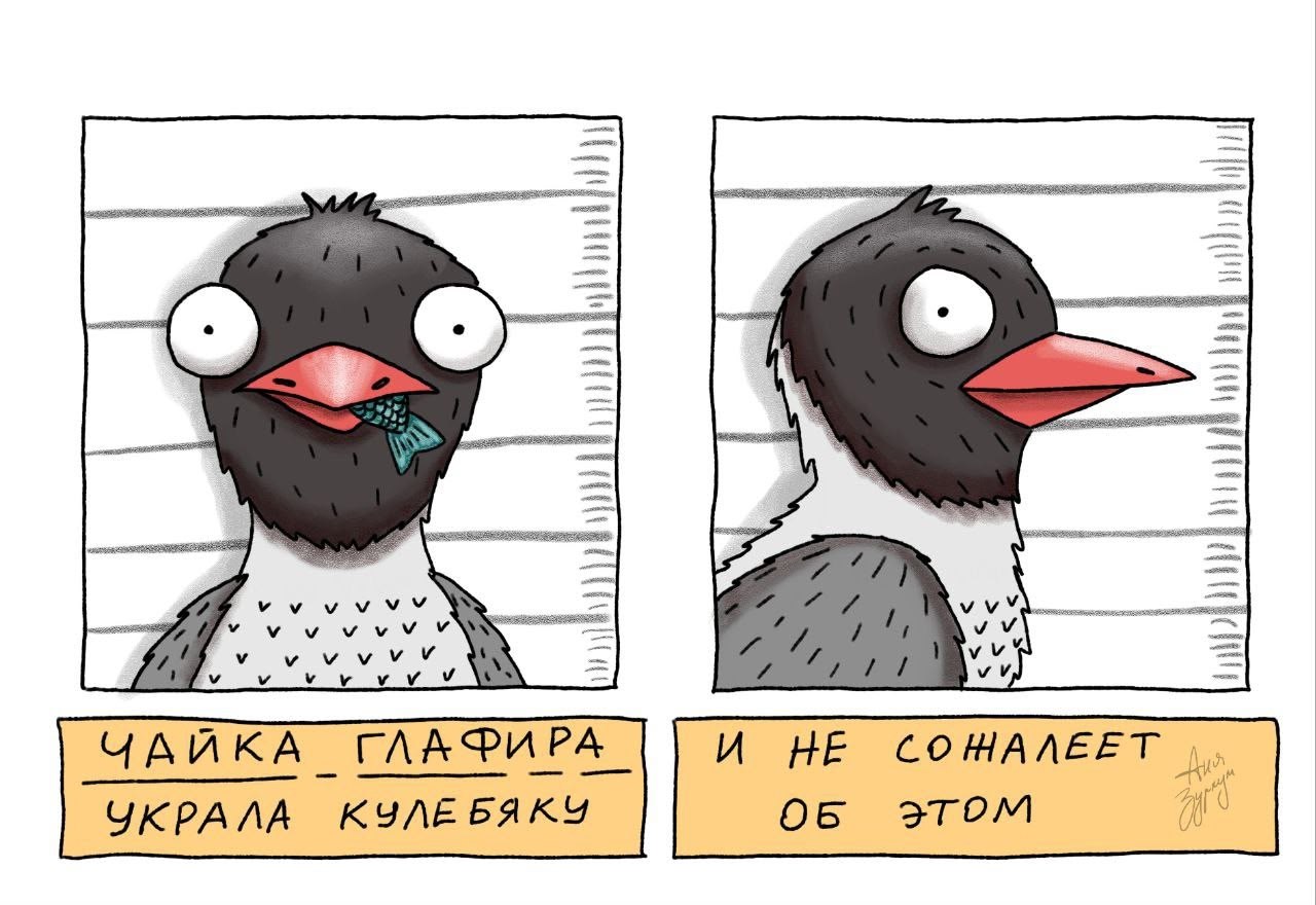 Птичку жалко! Подкармливаете голубей или чаек около дома? Это может грозить штрафом до 3000 рублей!