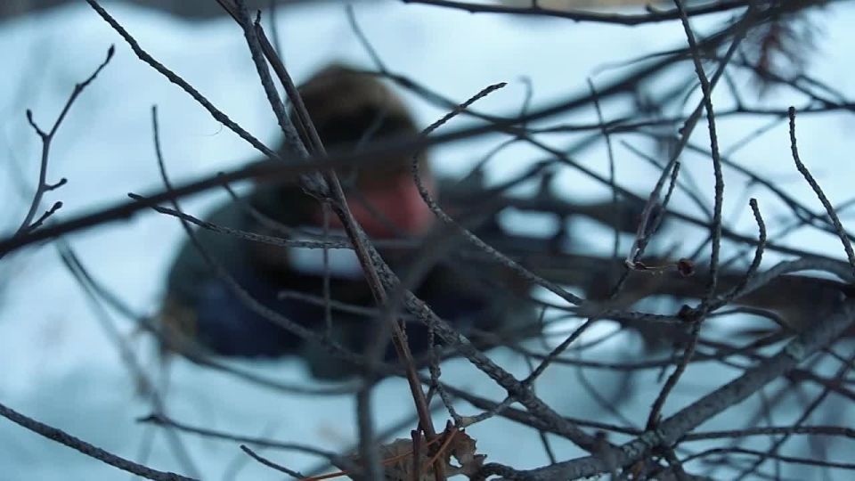 Программа «Защитники. Под крылом Архангела» является продолжением президентского проекта «Время героев»