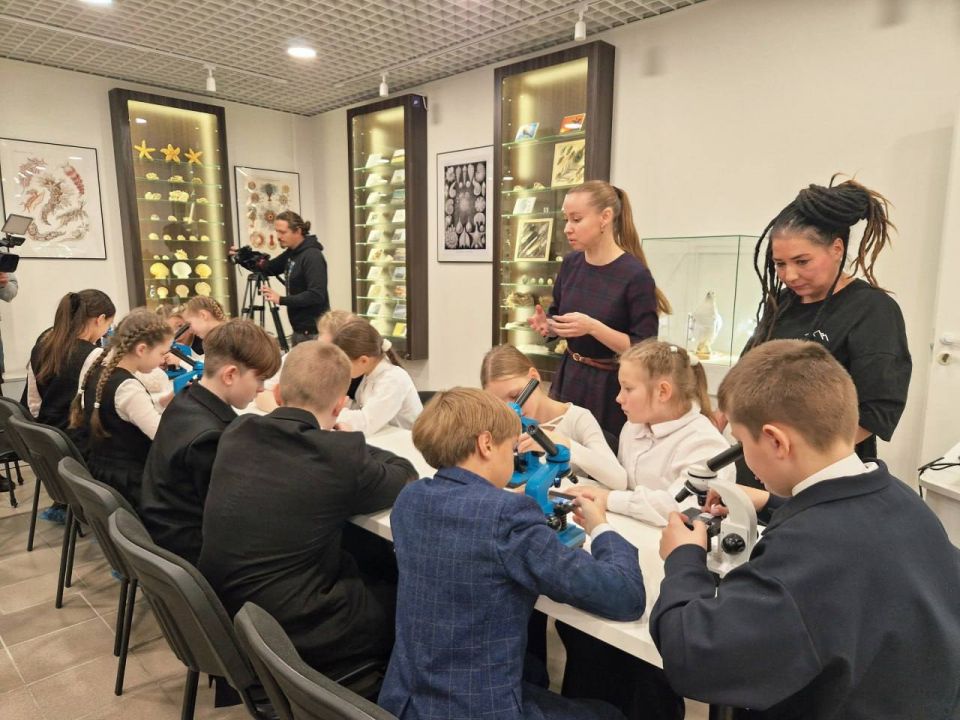 � ������������� �������� �����������-������� ����� ������ ����