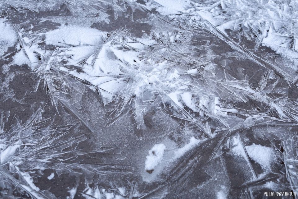 ������� �������� �������. ����������� ���������� ������� Yulia Kryukova