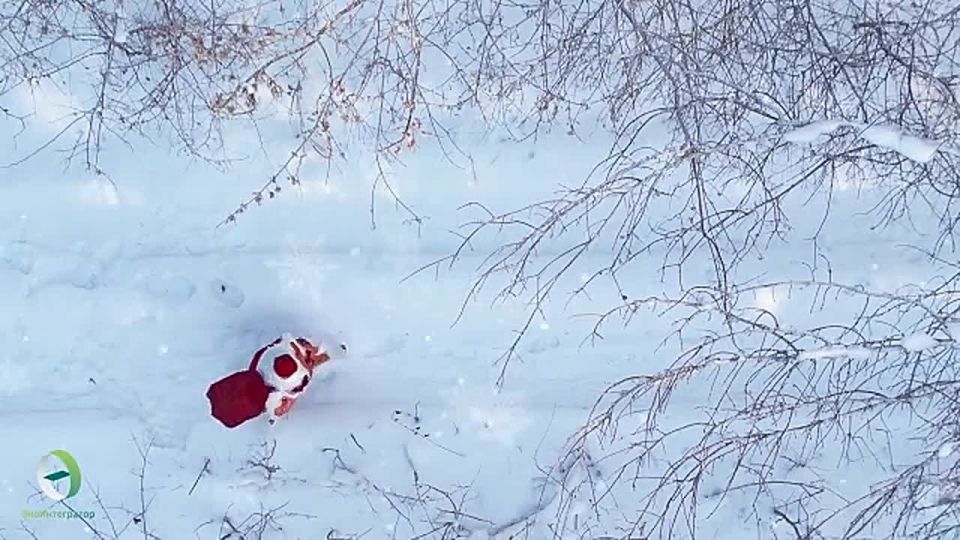 В Поморье стартовала новогодняя акция помощи бойцам СВО