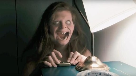 Зачем остаются безнаказанными «зоофашисты»? Общество в смятении после трагедий в разных уголках страны