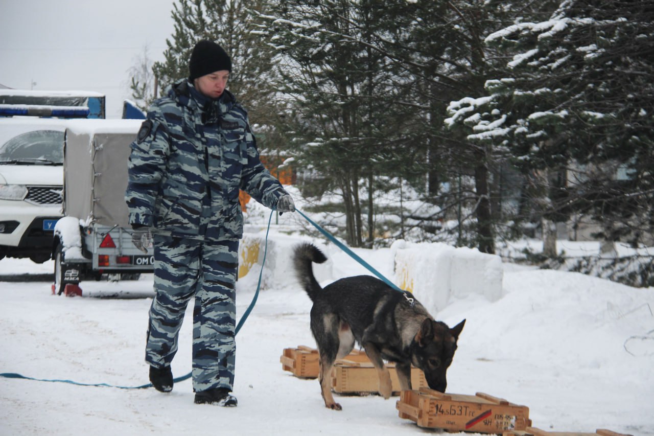 Первенство среди полицейских-кинологов прошло на базе Центра кинологической службы УМВД России по Архангельской области и стадиона Динамо Первенство среди полицейских-кинологов прошло на базе Центра кинологической службы УМВД России по Архангельской области и стадиона Динамо