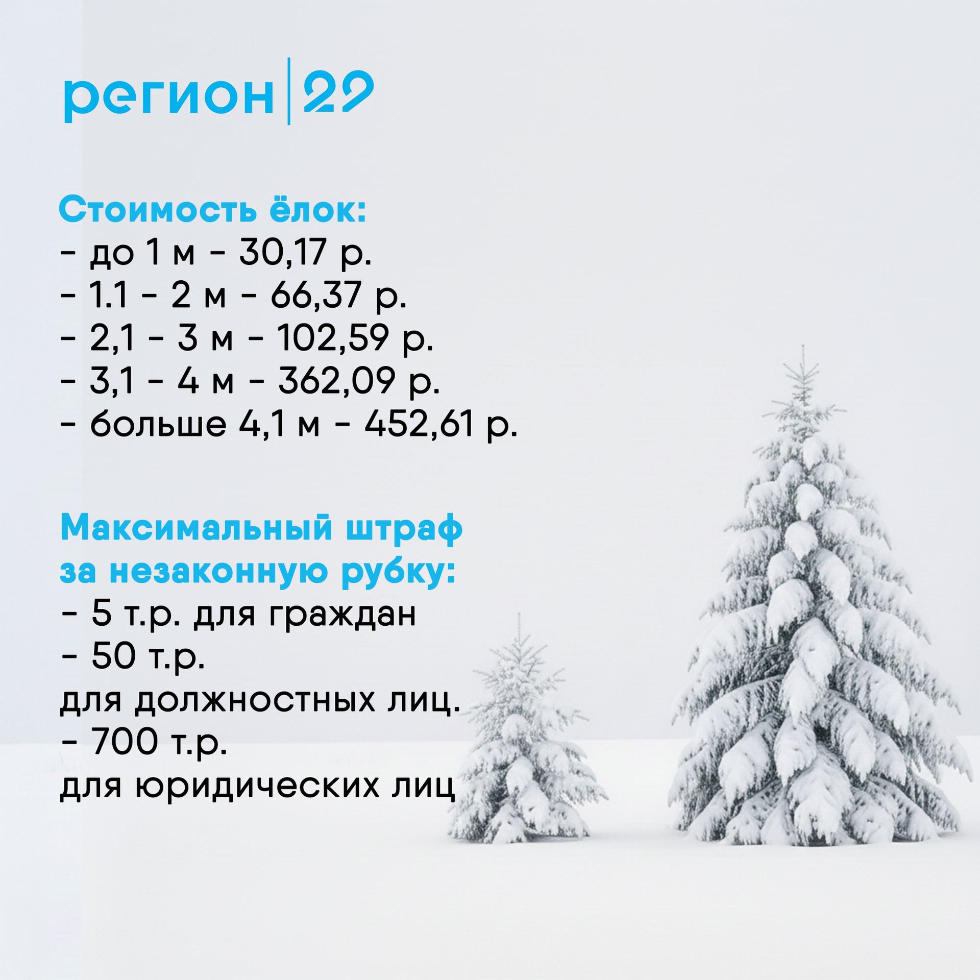 Сколько стоит срубить новогоднюю ёлку в Архангельской области? Сколько стоит срубить новогоднюю ёлку в Архангельской области?
