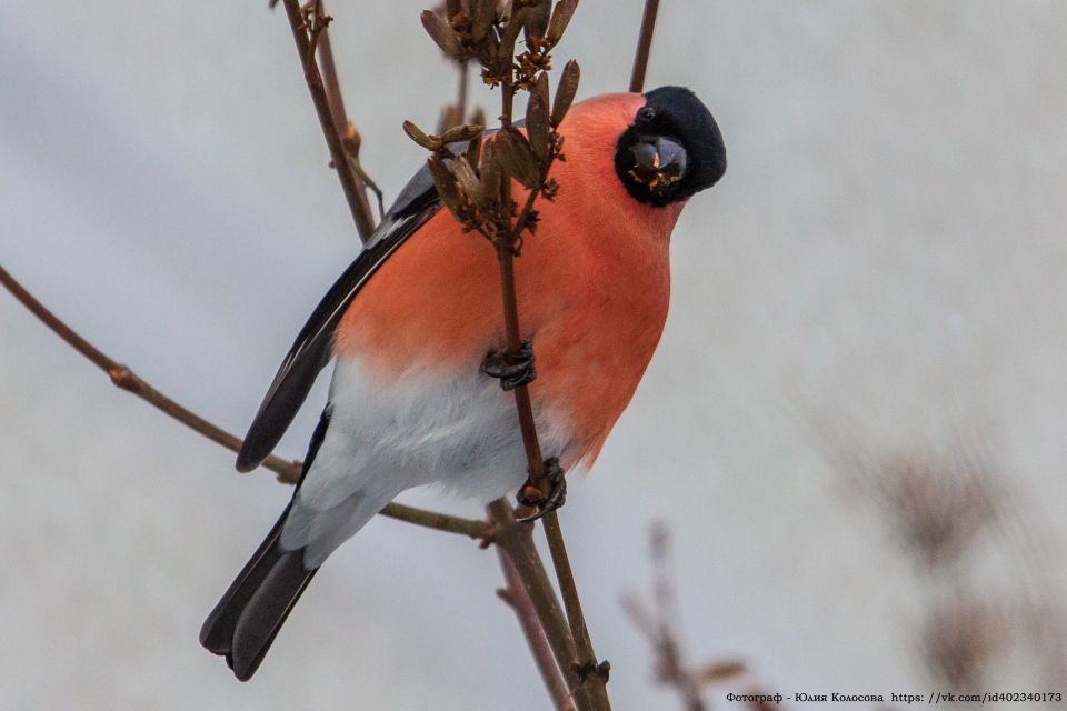 �������� �������� ���� �� ����������� ���� ���������