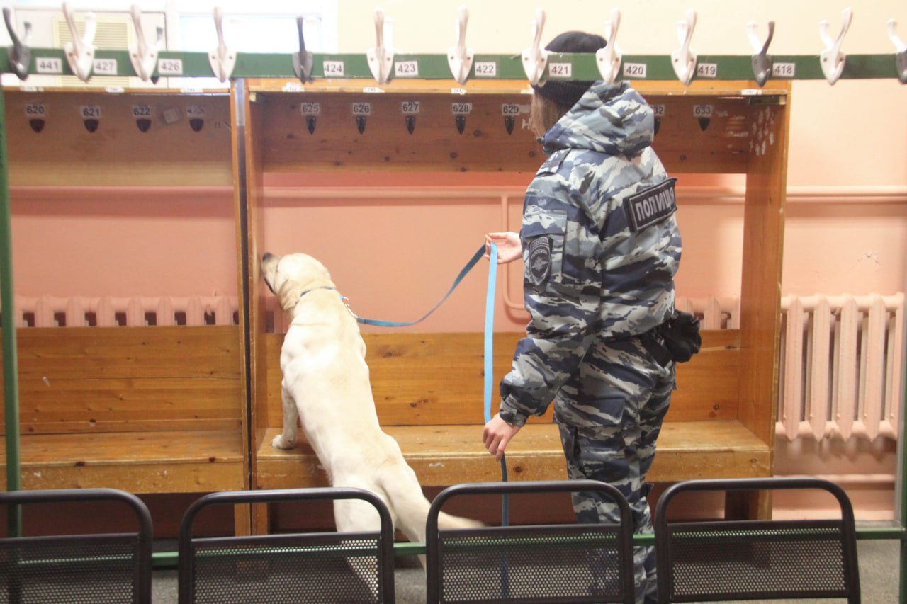 Первенство среди полицейских-кинологов прошло на базе Центра кинологической службы УМВД России по Архангельской области и стадиона Динамо Первенство среди полицейских-кинологов прошло на базе Центра кинологической службы УМВД России по Архангельской области и стадиона Динамо