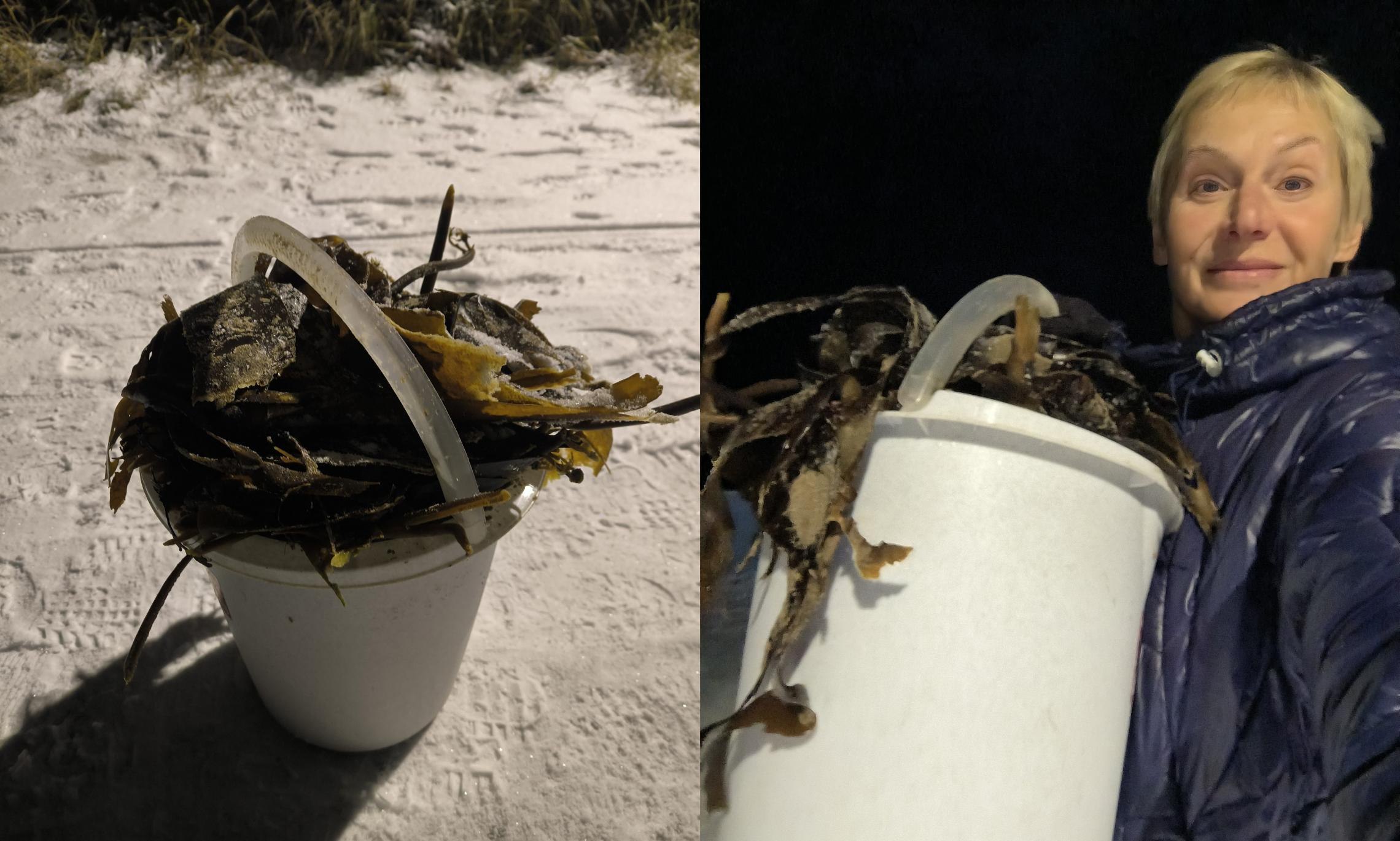 Публикуем субботний ТОП авторских материалов журналистов ИА "Регион 29" за минувшую неделю Публикуем субботний ТОП авторских материалов журналистов ИА "Регион 29" за минувшую неделю