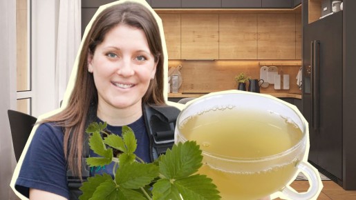 Собирайте листья земляники только в это время: чай на их основе будет максимально полезным