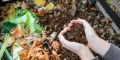 Как осеннее компостирование может преобразить ваш сад