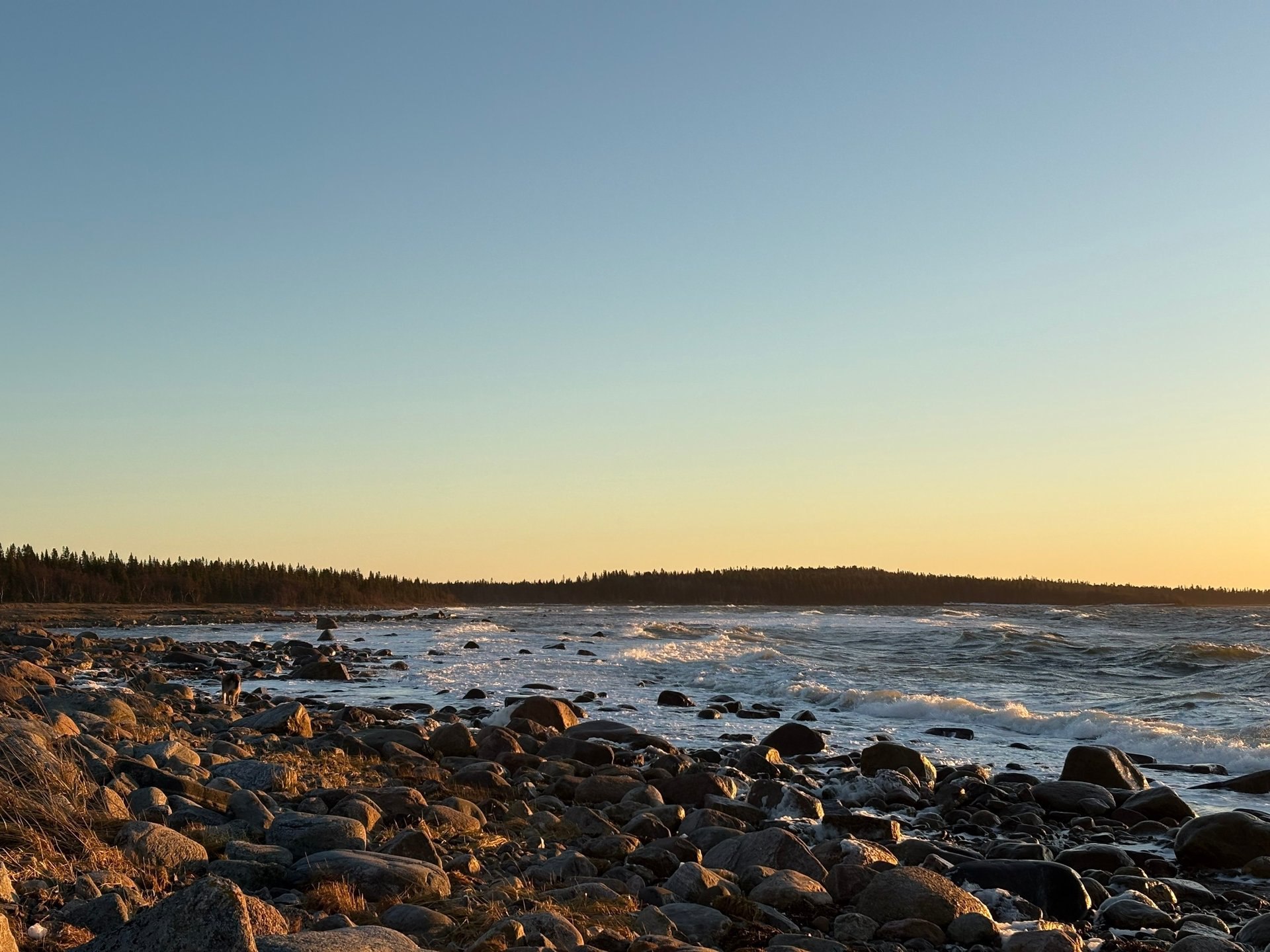 — Ветрено, но невероятно красиво — Ветрено, но невероятно красиво