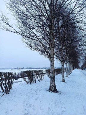 Снежный и пасмурный Архангельск в объективе Ольги Суворовой