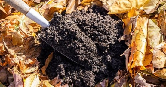 Азот в осенних удобрениях: мифы и факты, которые стоит знать