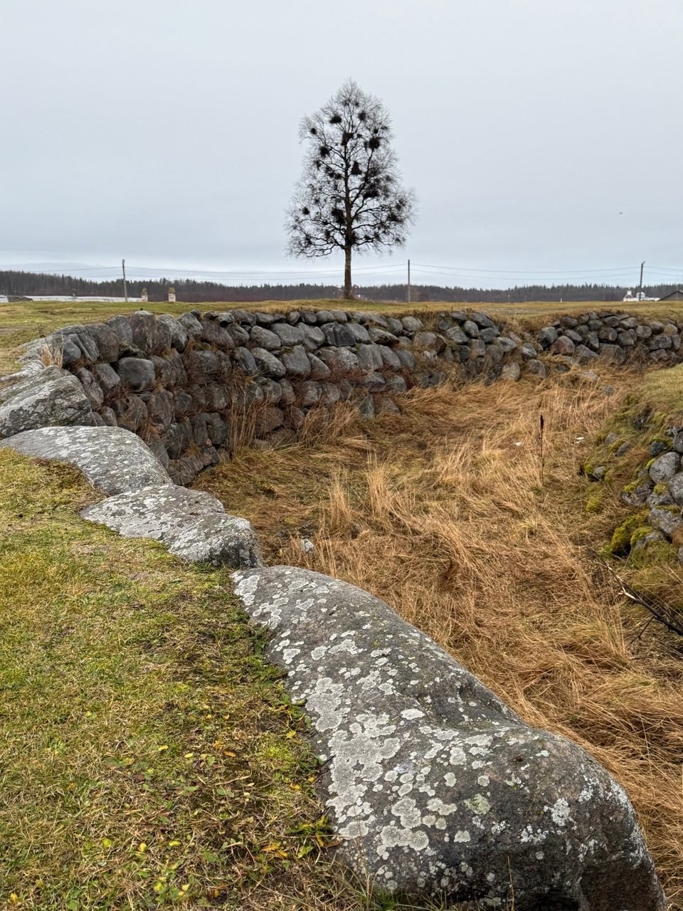 На Соловках необыкновенно тепло, влажно и тихо На Соловках необыкновенно тепло, влажно и тихо