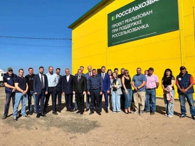 Российское сельское хозяйство достигло новых высот: рекорды урожая и инновационные решения