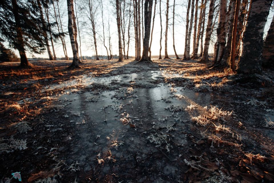 ����� ������ � ������� ����� ������