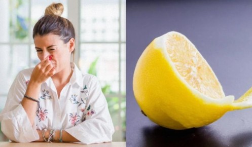 Когда в доме появляется затхлый запах: узнайте причины и решения