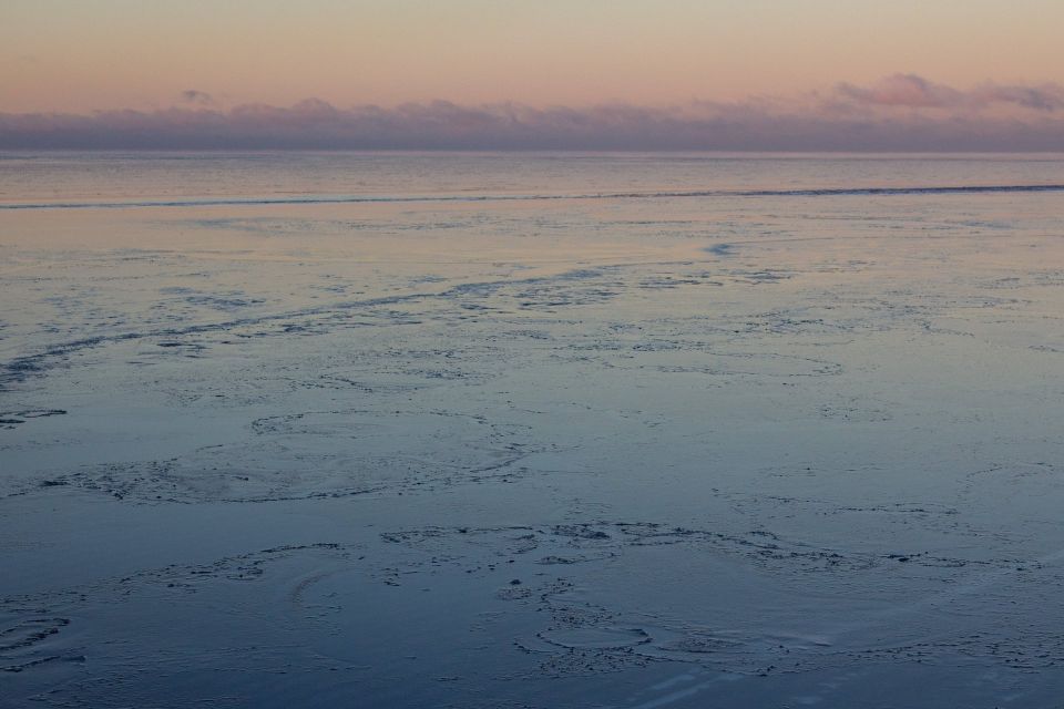 ��������: ������, ��������, ������ � ��������� �����