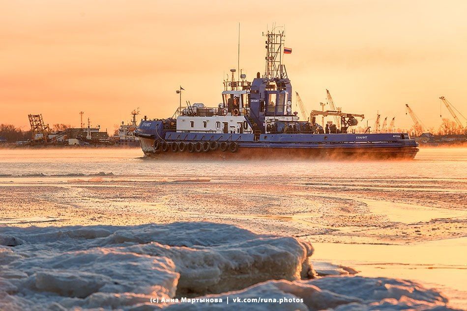 ���� �� �������� �����. ���������� ���� ����������