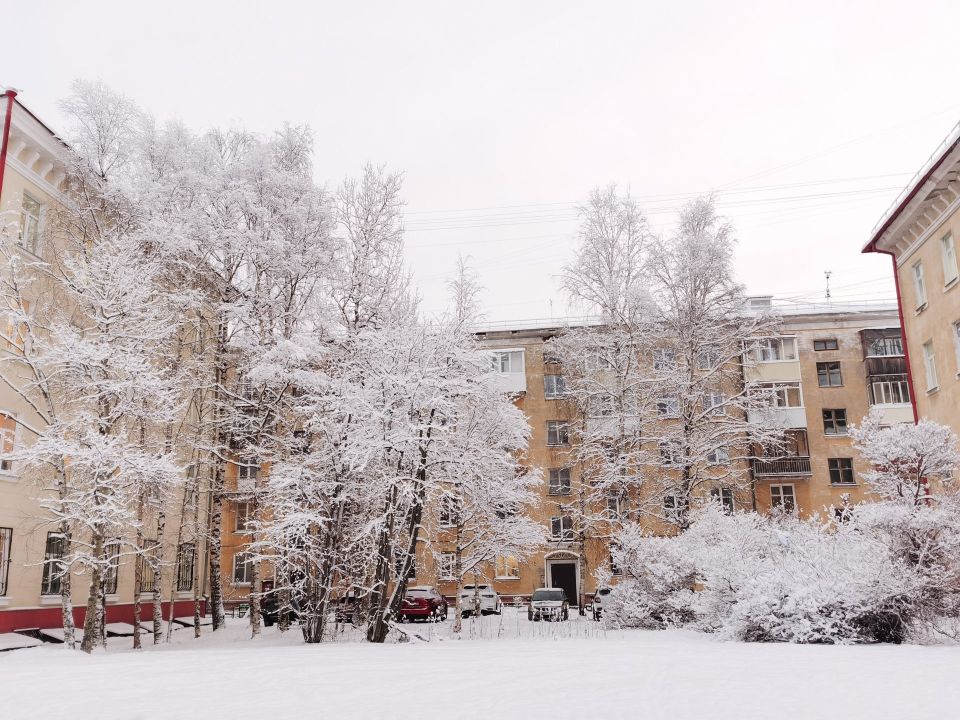 ������ ����, ������!. �������: