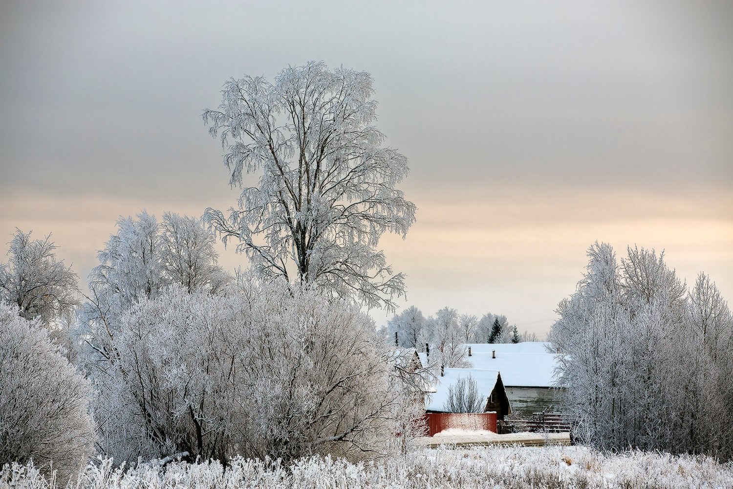 Волшебная зима. Фотографии Сергея Олюкова Волшебная зима. Фотографии Сергея Олюкова