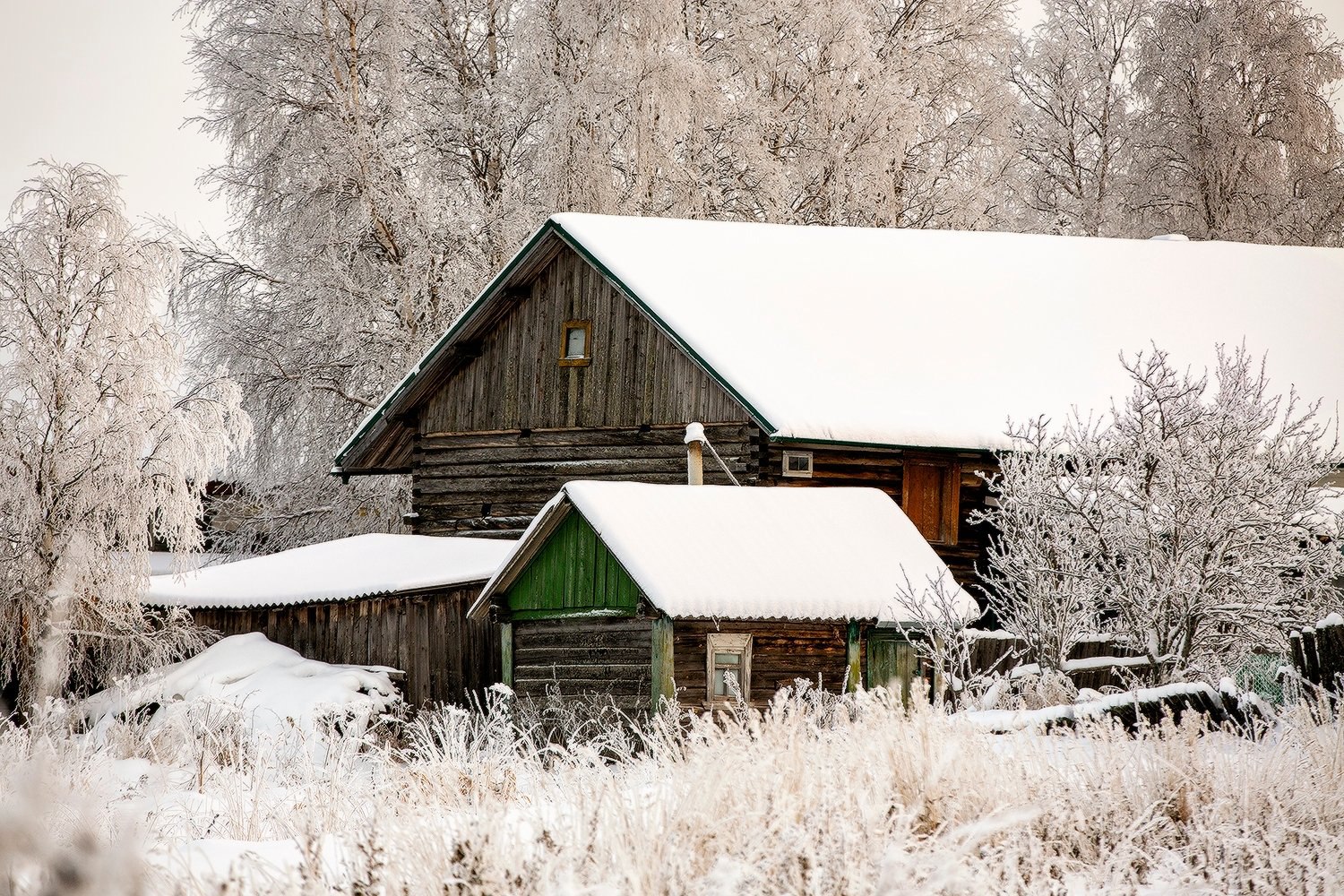 Волшебная зима. Фотографии Сергея Олюкова Волшебная зима. Фотографии Сергея Олюкова