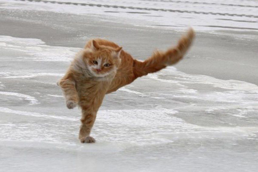 ��������, �������� �����!. �� ���������� ���� ��������� ���ѻ ���� 12 ������� � ������������ ��������� �������� ������-��������� � ��������� ����� �������� 15-20 �/�