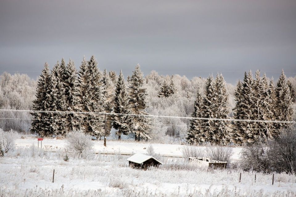 ��������� ����. ���������� ������ �������