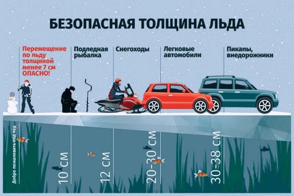 ˸� �����������, ��������� �����!