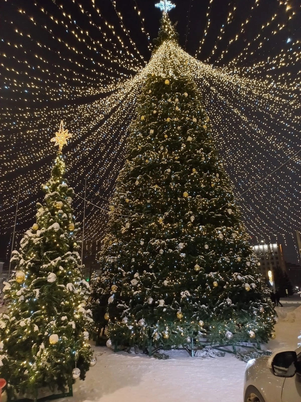 Ёлочка, гори! 13 декабря на главной городской ели зажгутся огни Ёлочка, гори! 13 декабря на главной городской ели зажгутся огни