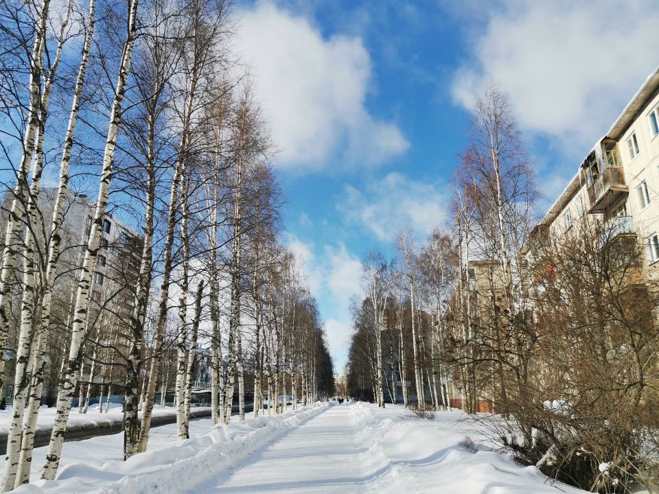 ������ ����, ������!. ������� ������� � ������������