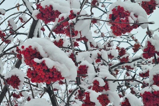 �������� ������������� ������ � ������� �� ������� ������ ������� ����� �������� ��� ����������� ���������� ������