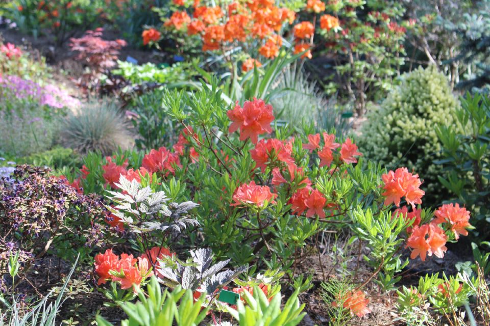 ������ ������ � �������������