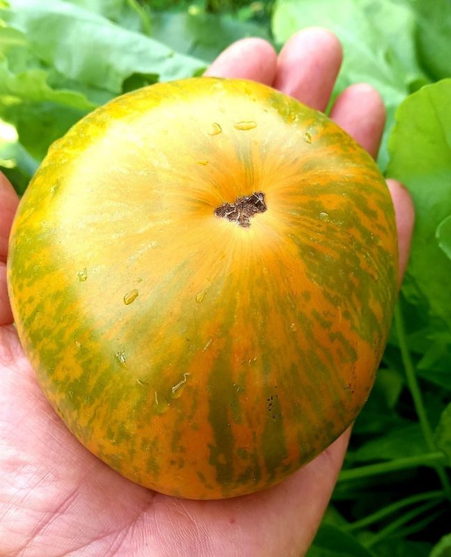 ��������������� ������� ����������: ������� ������ 2025