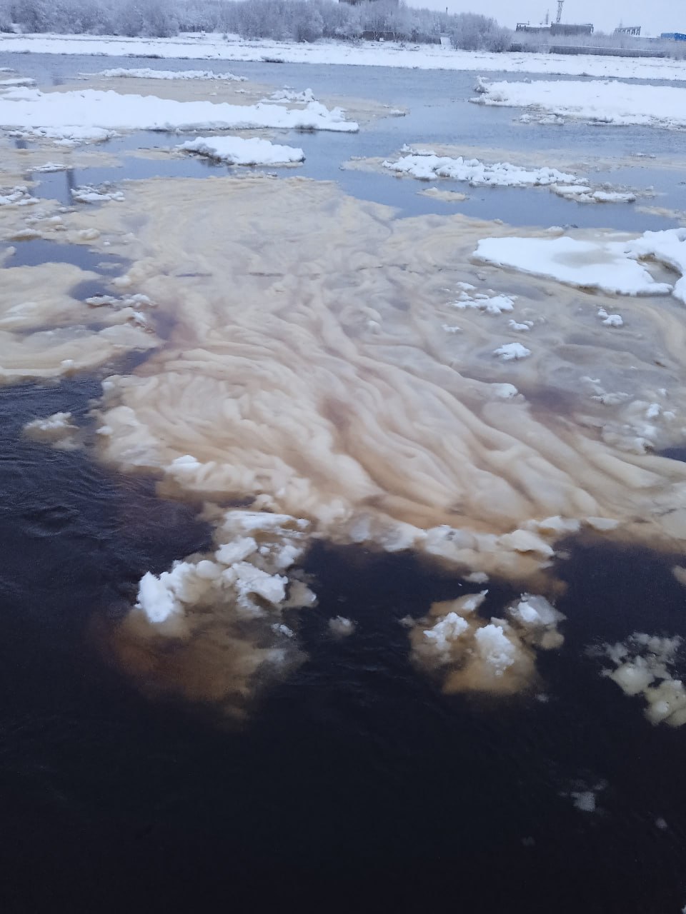 В Архангельске заметили редкое зимнее чудо — снежуру В Архангельске заметили редкое зимнее чудо — снежуру