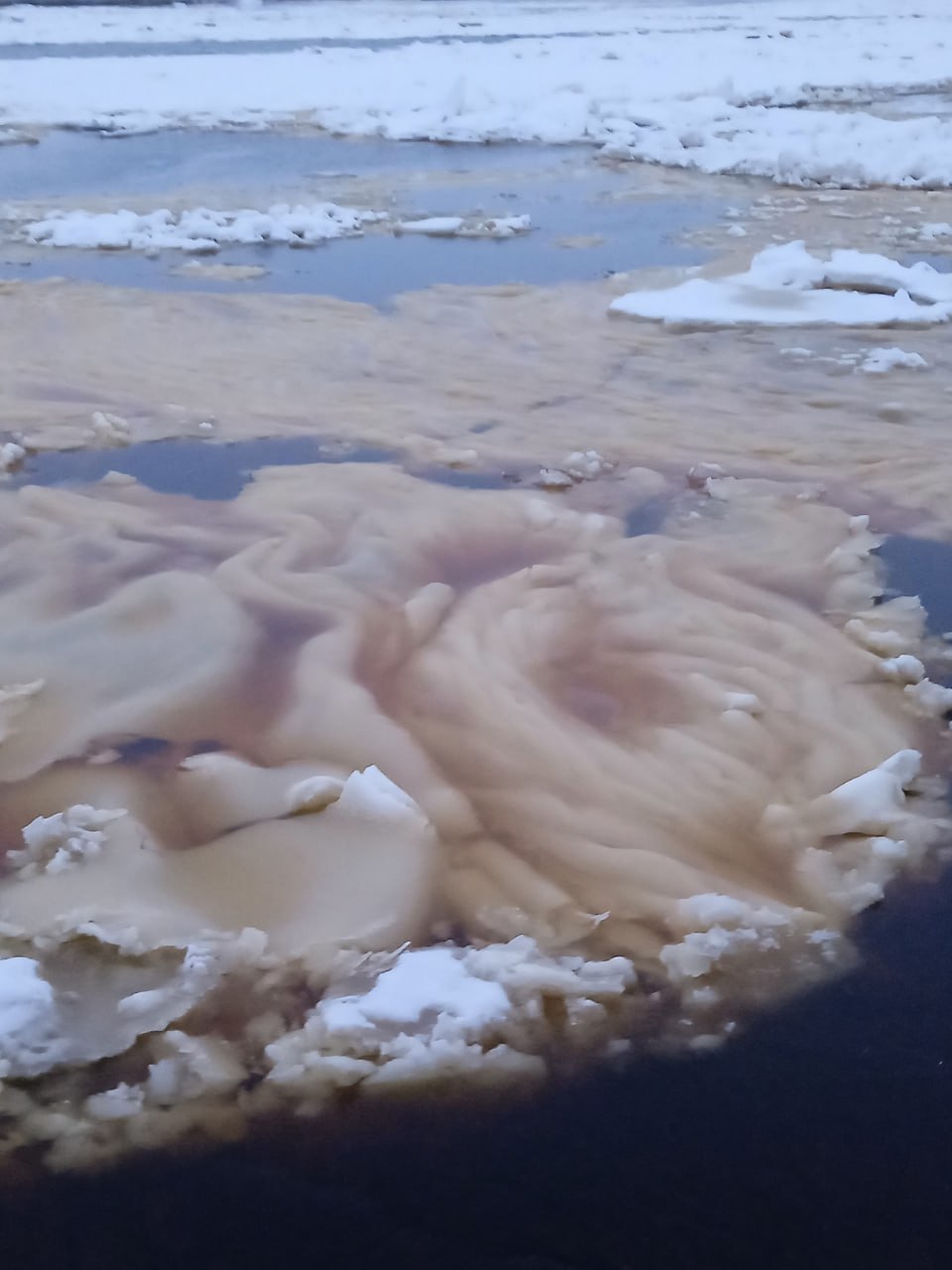 В Архангельске заметили редкое зимнее чудо — снежуру В Архангельске заметили редкое зимнее чудо — снежуру