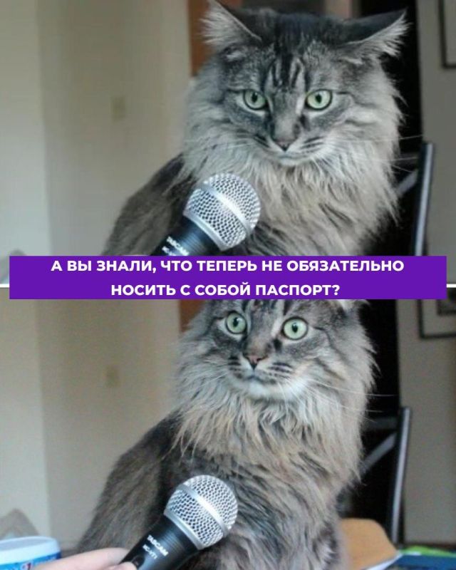 ������ �������? ������ ���� ����� ���������� QR-��� ����� �� ����������� ���