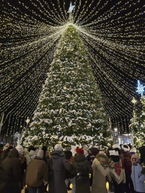 Главная ёлка Архангельска наконец засияла огнями!