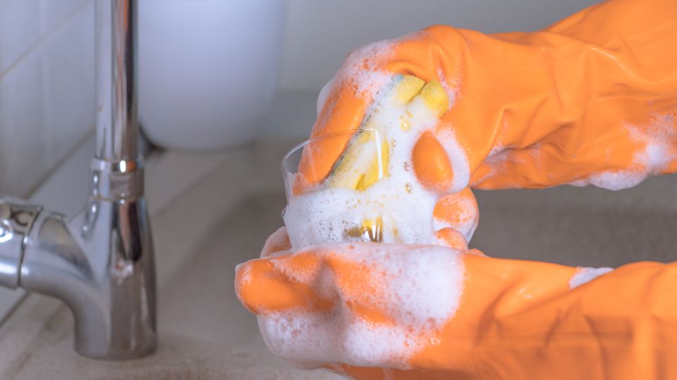 ������ ������� ������ ���� ����� �� ������������ �������: ��� ��� �� ��������