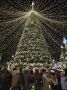 Главная ёлка Архангельска наконец засияла огнями!