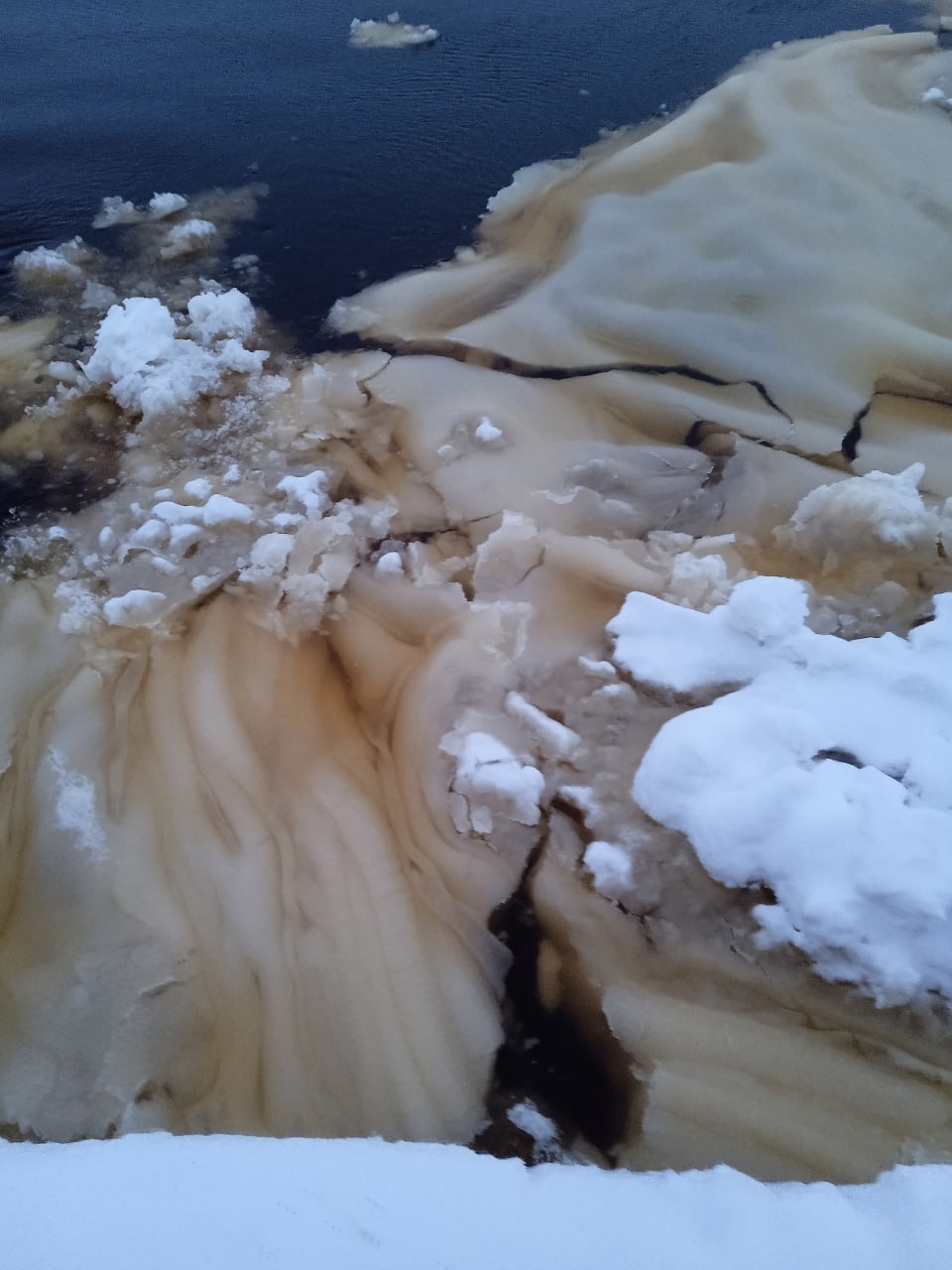 В Архангельске заметили редкое зимнее чудо — снежуру В Архангельске заметили редкое зимнее чудо — снежуру