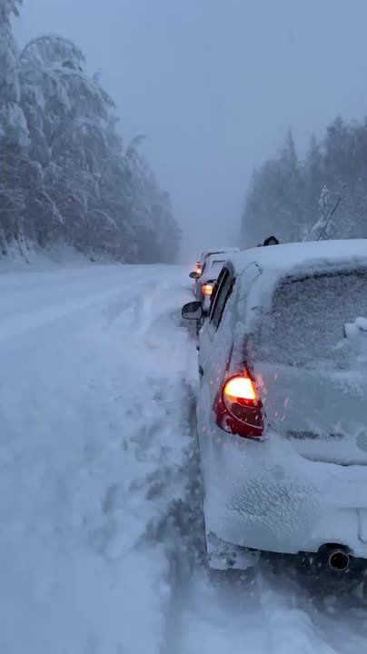 ������ �� ����� ������ �������!