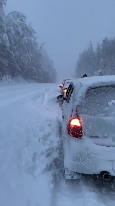 Дорогу на Онегу замело наглухо!