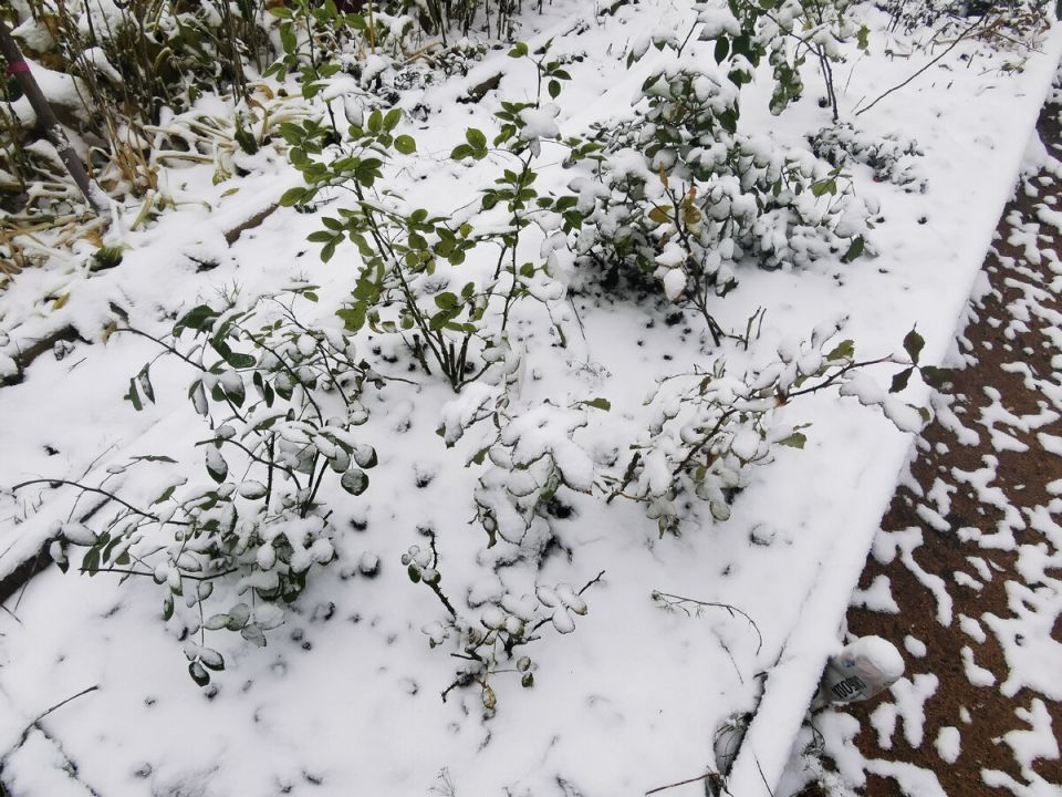 ������ ��������� ��� ���: ��� ��� ���������� � �������� � ������