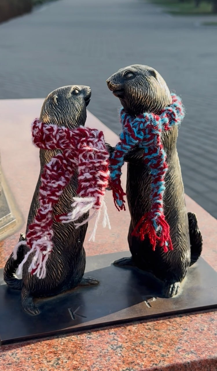 Знакомьтесь - суслики из Сибири! Знакомьтесь - суслики из Сибири!