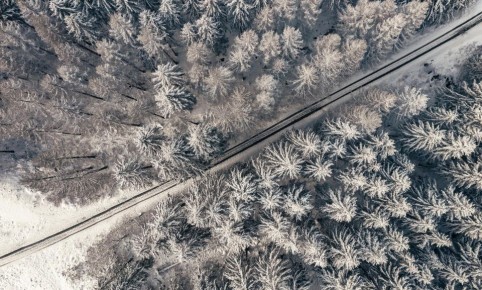 Какие новости «Региона 29» привлекли внимание читателей на уходящей неделе? Вот топ новостей: