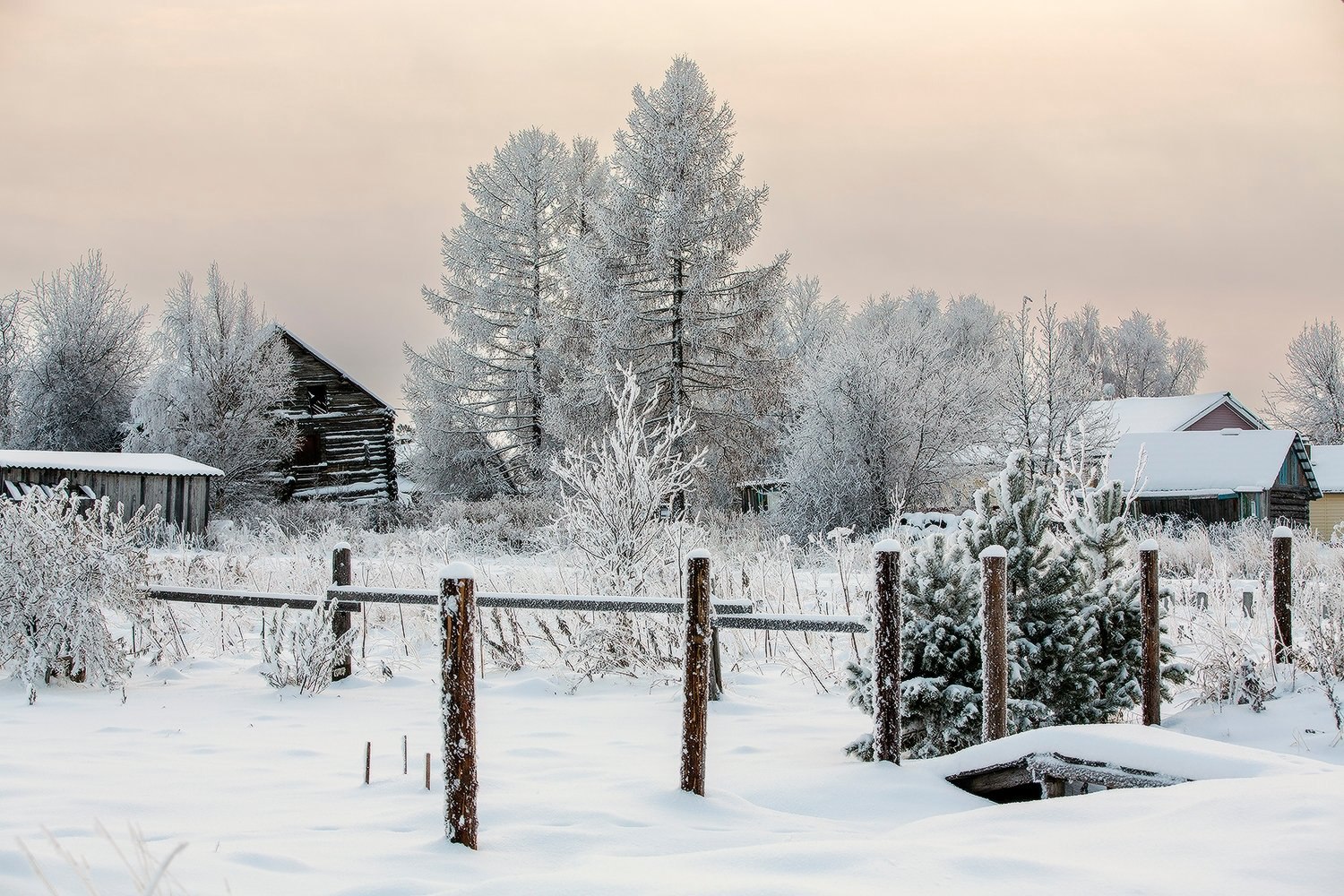 Атмосферные кадры Сергея Олюкова, сделанные в ноябре и декабре Атмосферные кадры Сергея Олюкова, сделанные в ноябре и декабре