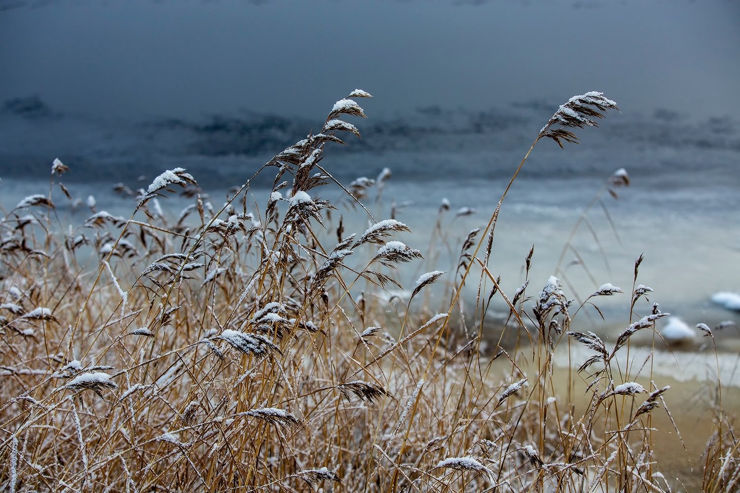 Атмосферные кадры Сергея Олюкова, сделанные в ноябре и декабре Атмосферные кадры Сергея Олюкова, сделанные в ноябре и декабре