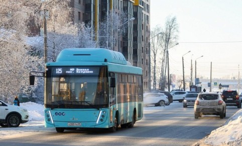 Жалобы архангелогородцев на транспорт дошли до губернатора